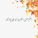 Ahmed Shalpy
