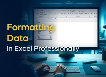 Formatting Data in Excel Professionally