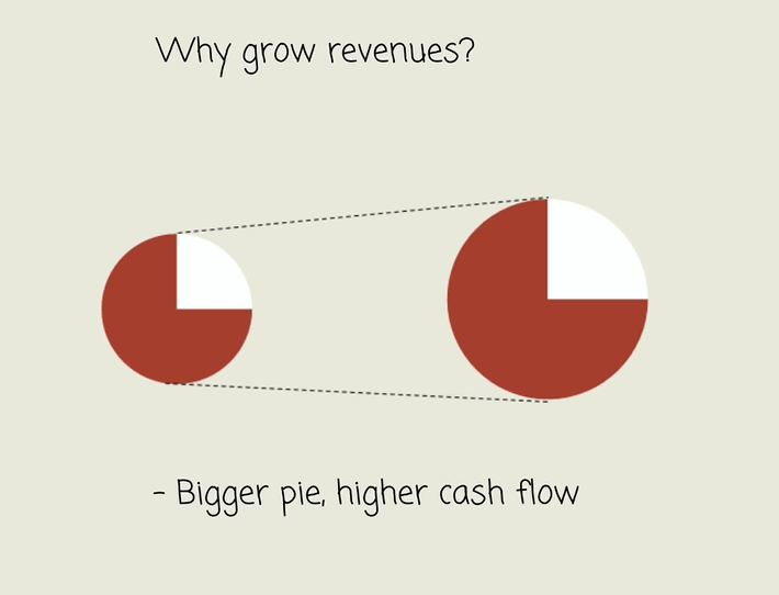 Why grow revenues