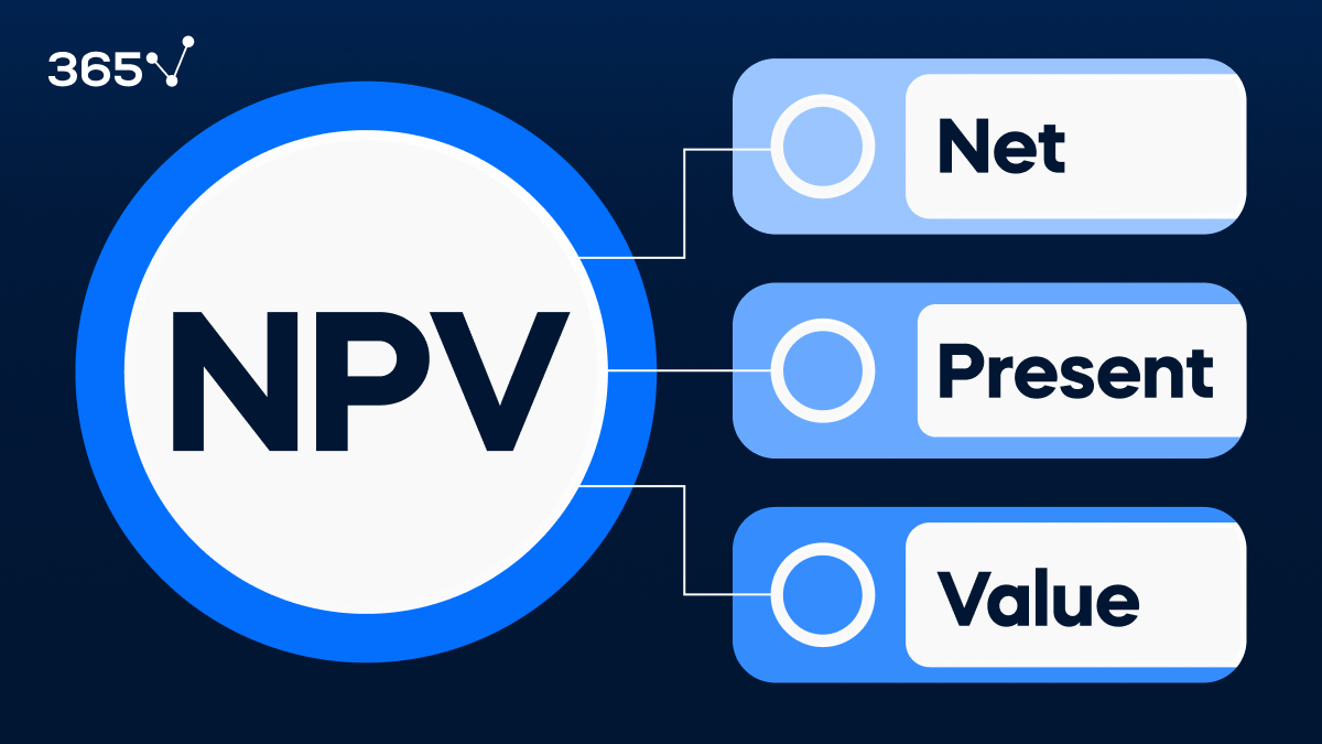 What Is NPV 365 Financial Analyst