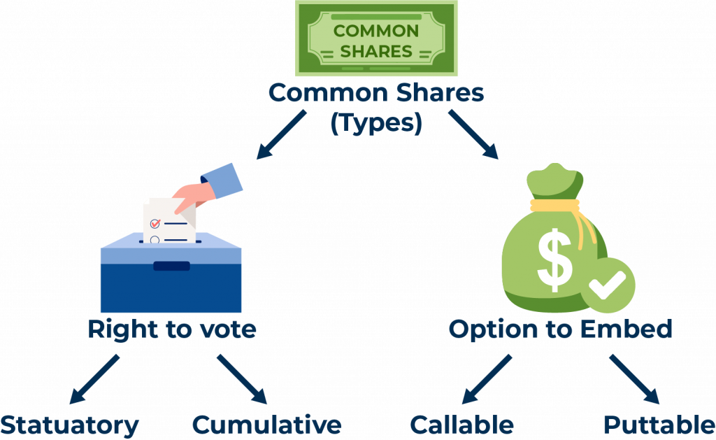 Common shares (Types) comparison