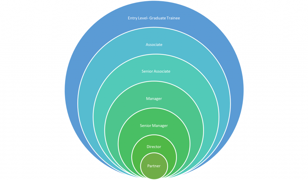 The standard career ladder at the big four accounting firms represented with blue and green concentric circles