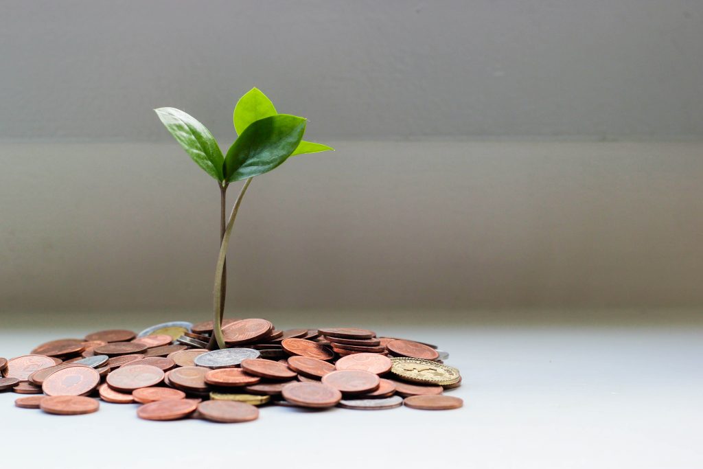 Seed capital helps a startup germinate